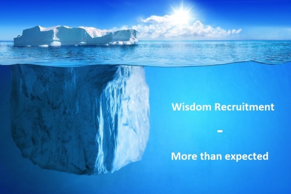 Wisdom Recruitment